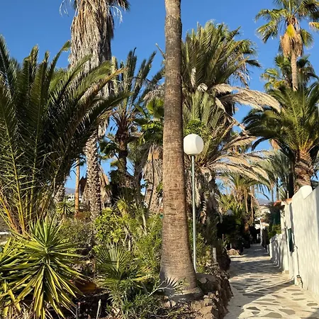 Calima House Lägenhet *