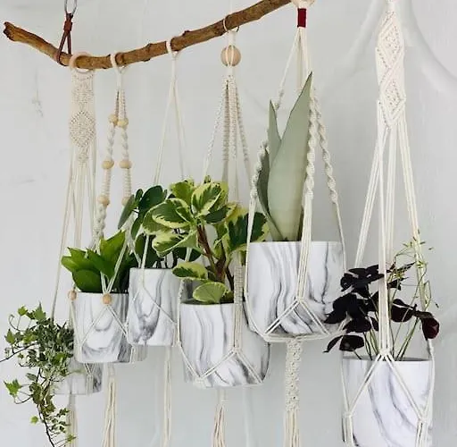 Lägenhet Calima House *