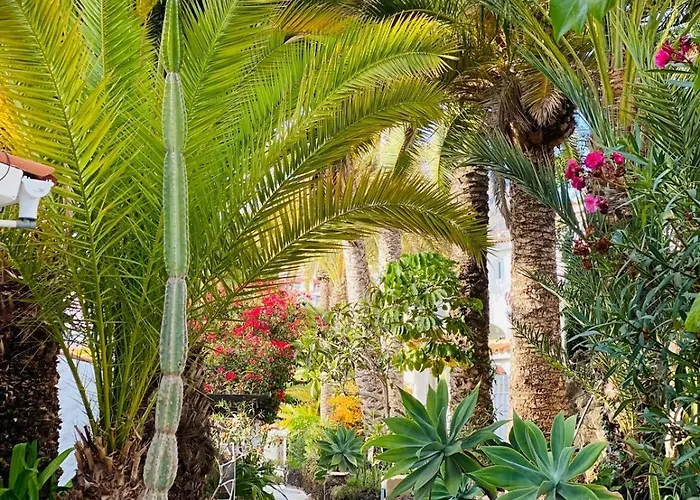 Calima House Apartament Chayofa