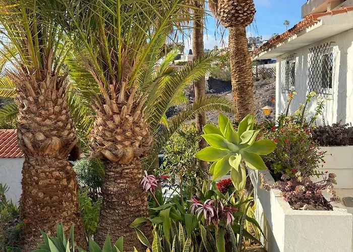 Calima House Chayofa