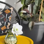 Apartment Calima House