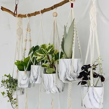 Apartment Calima House *