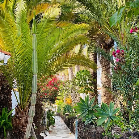 Calima House Apartment Chayofa