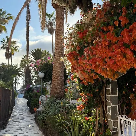 Apartment Calima House *