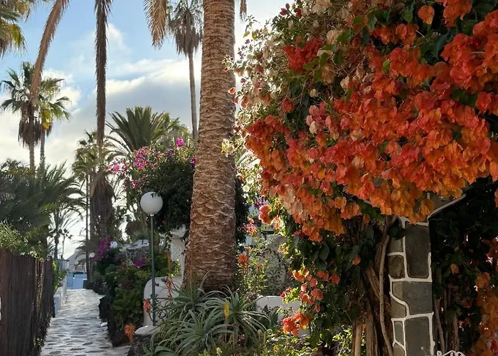 アパート Calima House *