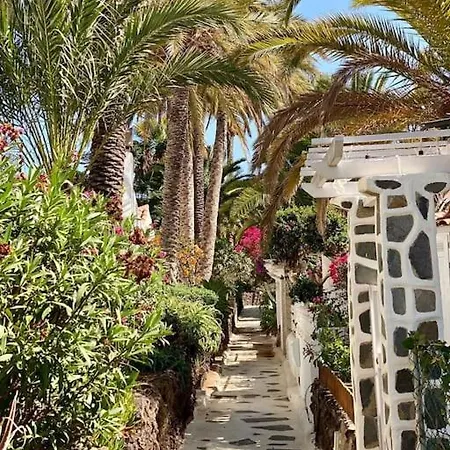 Calima House Apartmán *