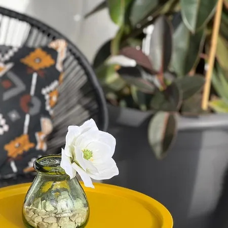 Apartmán Calima House